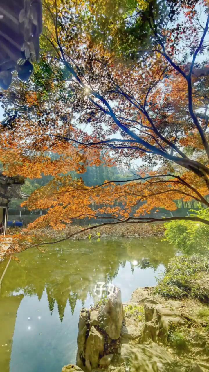 11月美好如约而至。