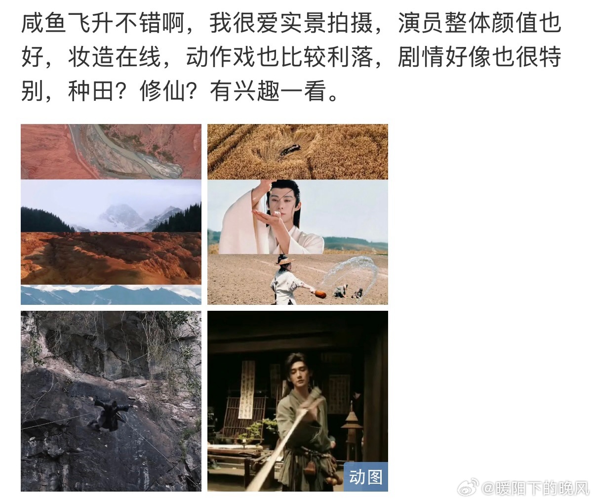 咸鱼飞升大剧质感 谁能拒绝一个只想种土豆晒太阳的修仙大佬呢？王鹤棣把那种慵懒松弛