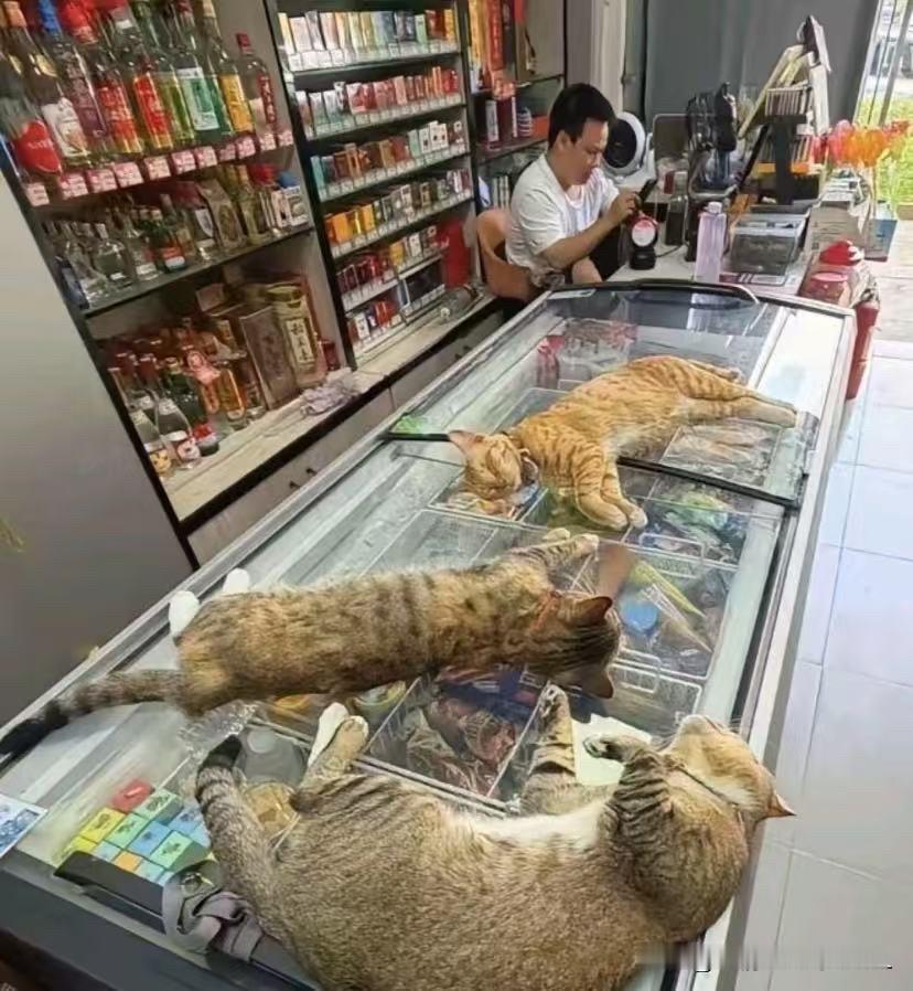 4个店员没有一个是认真看店的！
昨天我约了表姐出去逛街，饭点我们就去了一家农家乐
