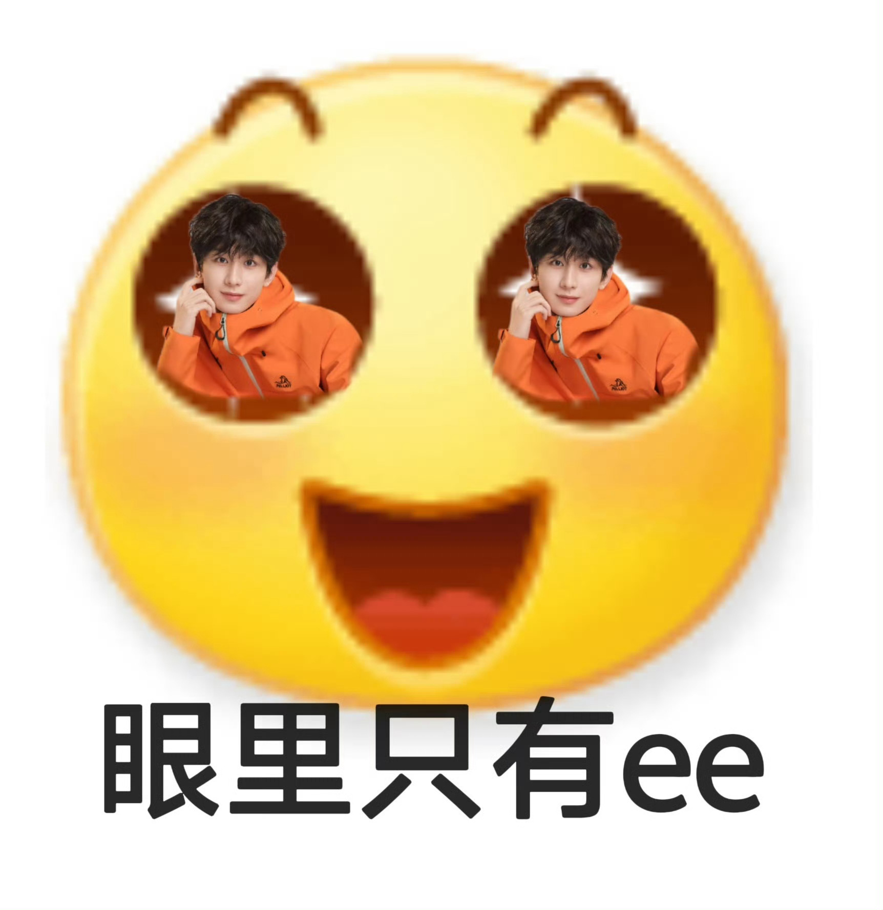 傅诗淇 傅诗淇属于你的玫瑰，会开在对的季节。 
