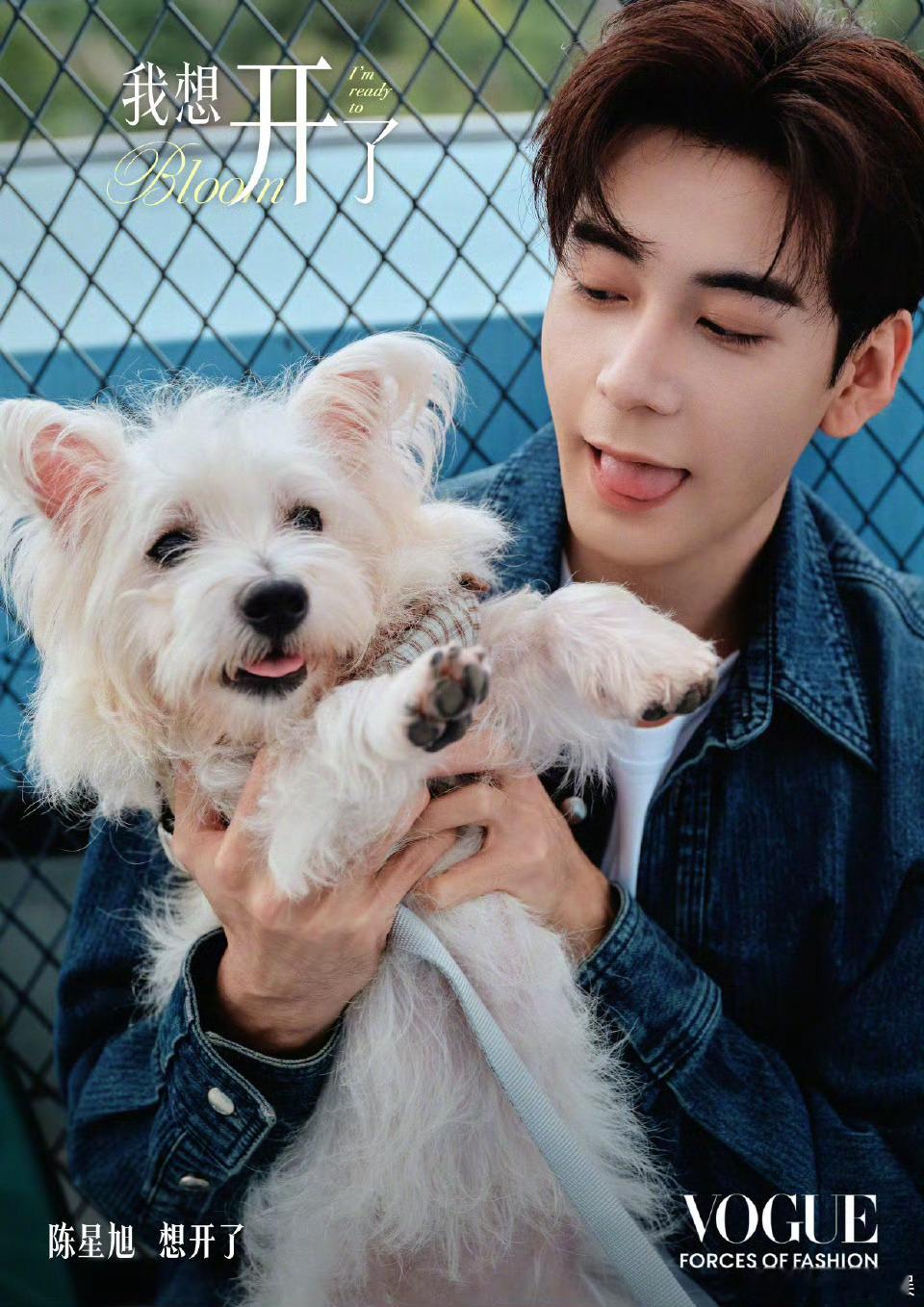 VOGUE官宣陈星旭VOGUE盛典官宣陈星旭VOGUE盛典官宣陈星旭，期待，[可