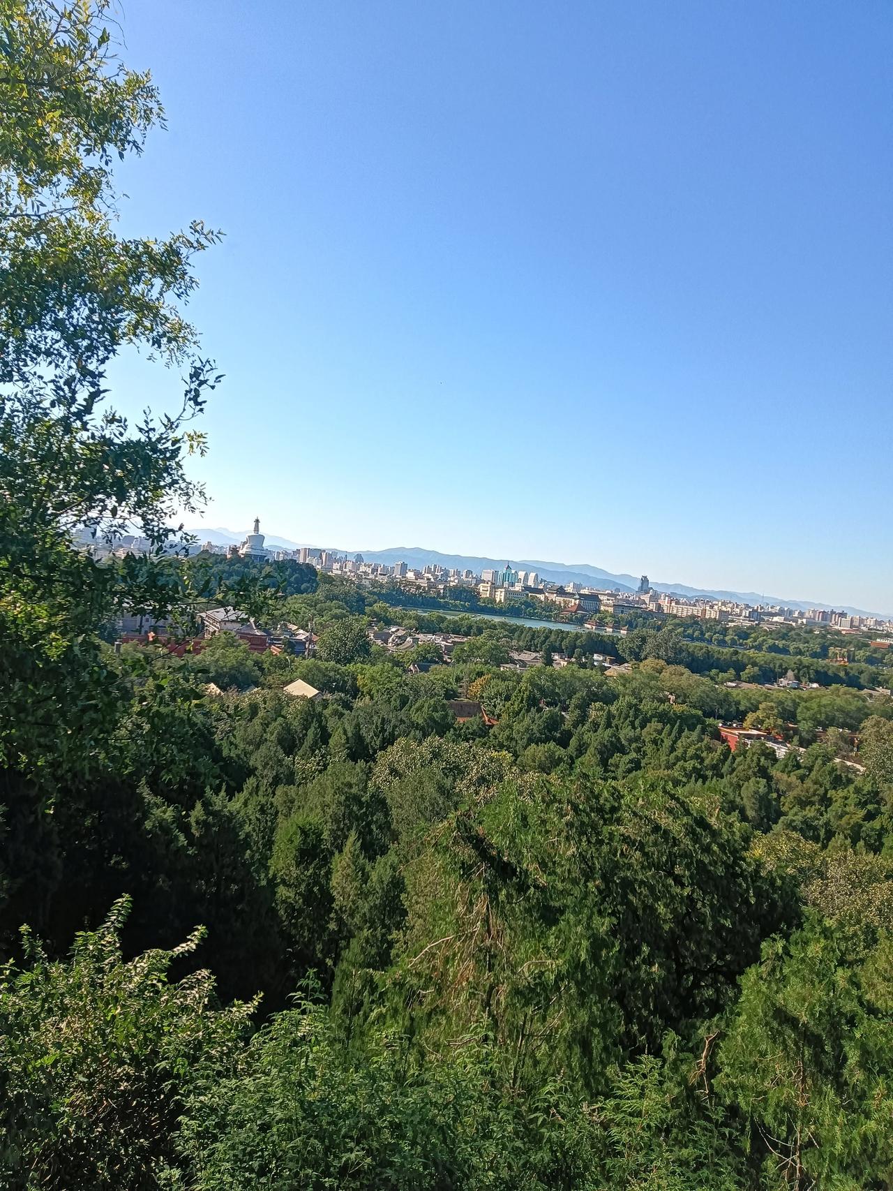 越来越感觉到一个人的自律和学习能力才是持续向上的保证。
比如，下了班狂刷手机，无
