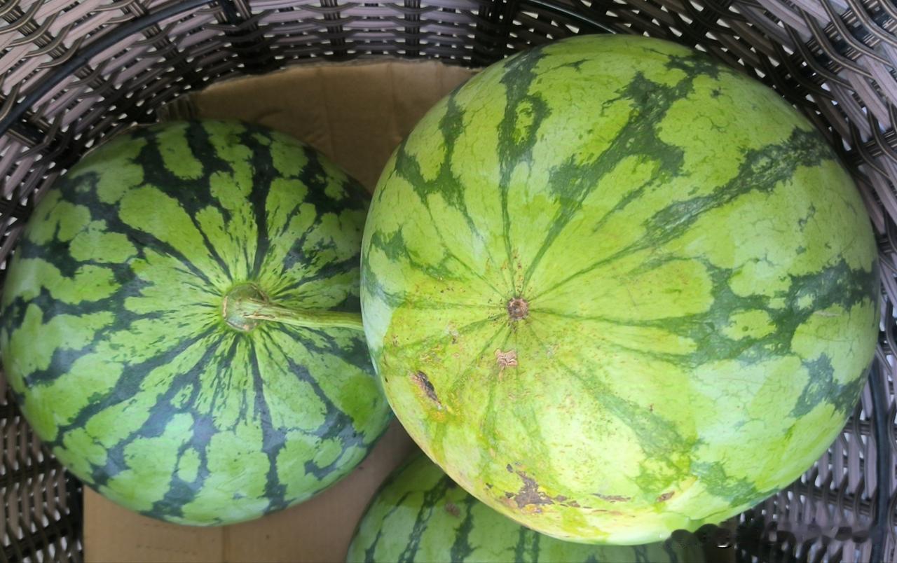 夏日生活打卡季西瓜好吃口难开