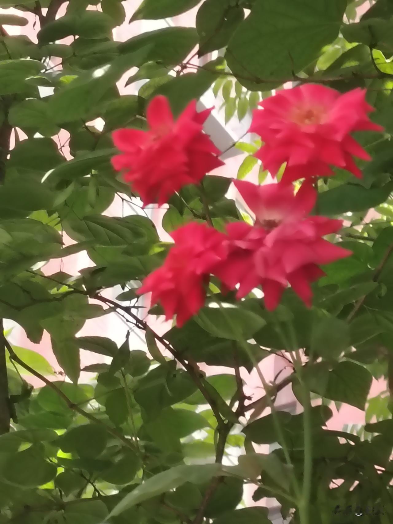 晒图笔记大赛随手拍下日常美景，平淡生活里藏着小美好，每张照片都是生活留下的印记。