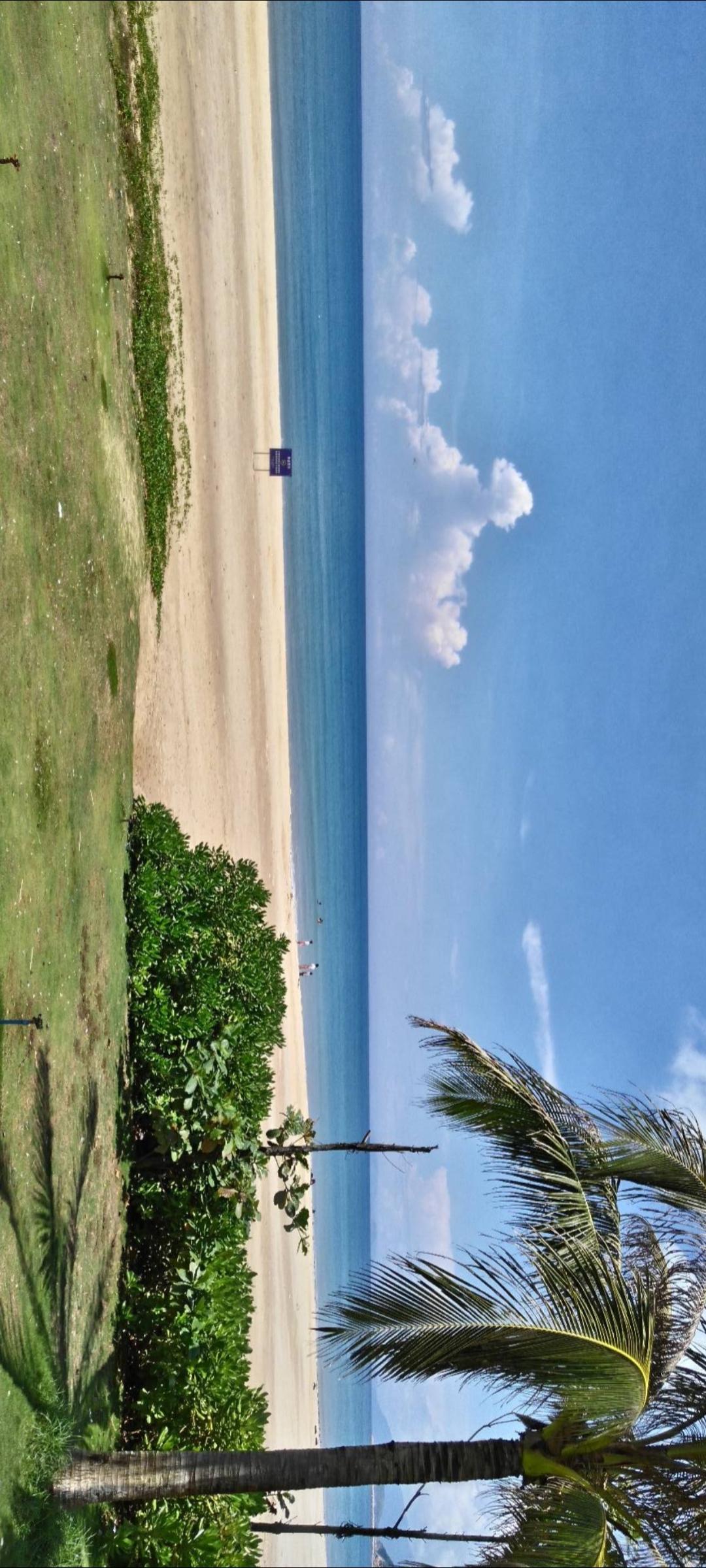 海天一色，沙滩漫步，椰林相伴，心旷神怡！🌴🏖️🌊