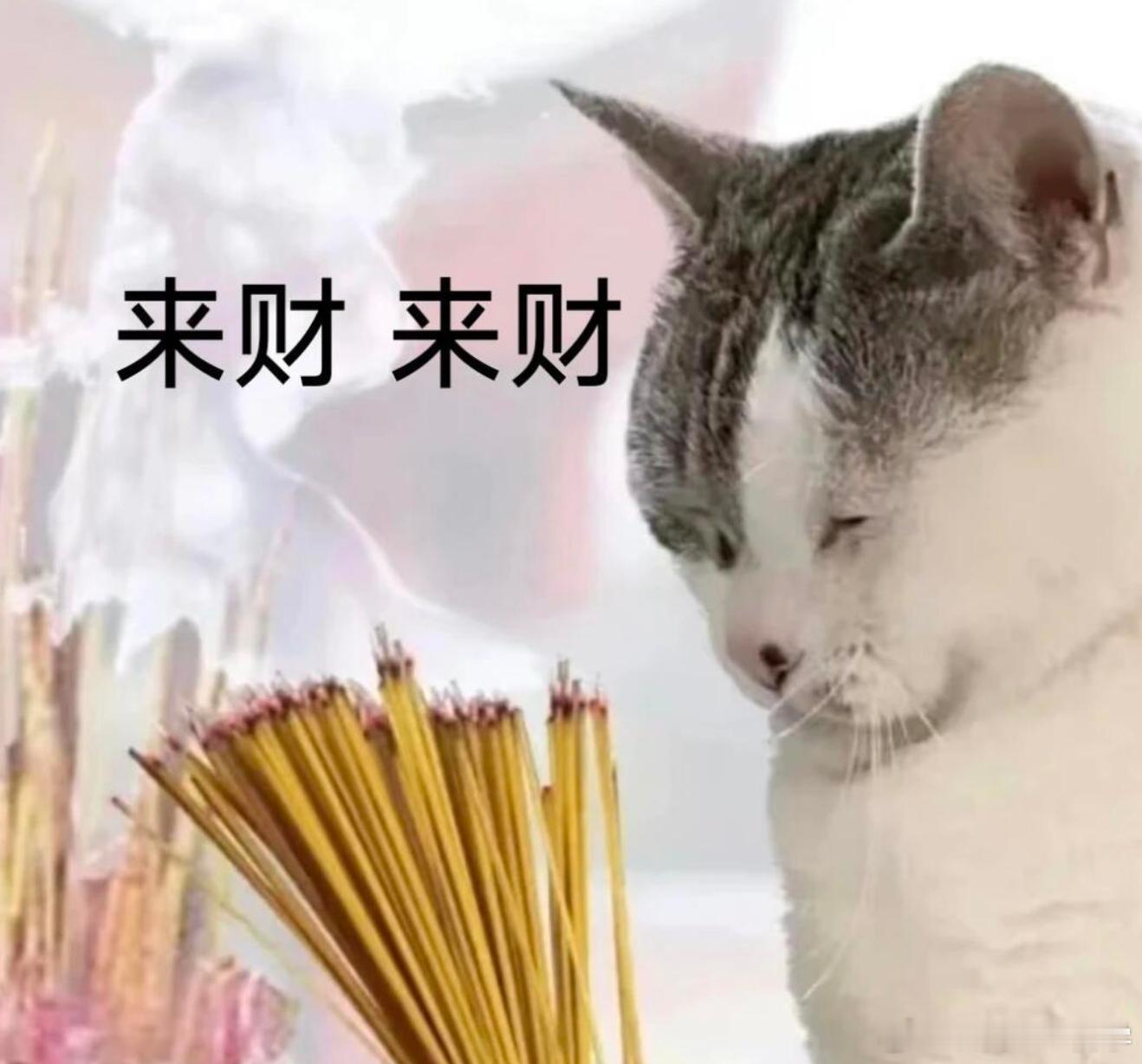 利率下行像温水煮青蛙，等意识到烫，就得找新地方了。我现在就是边学边挪，晒绝版存单