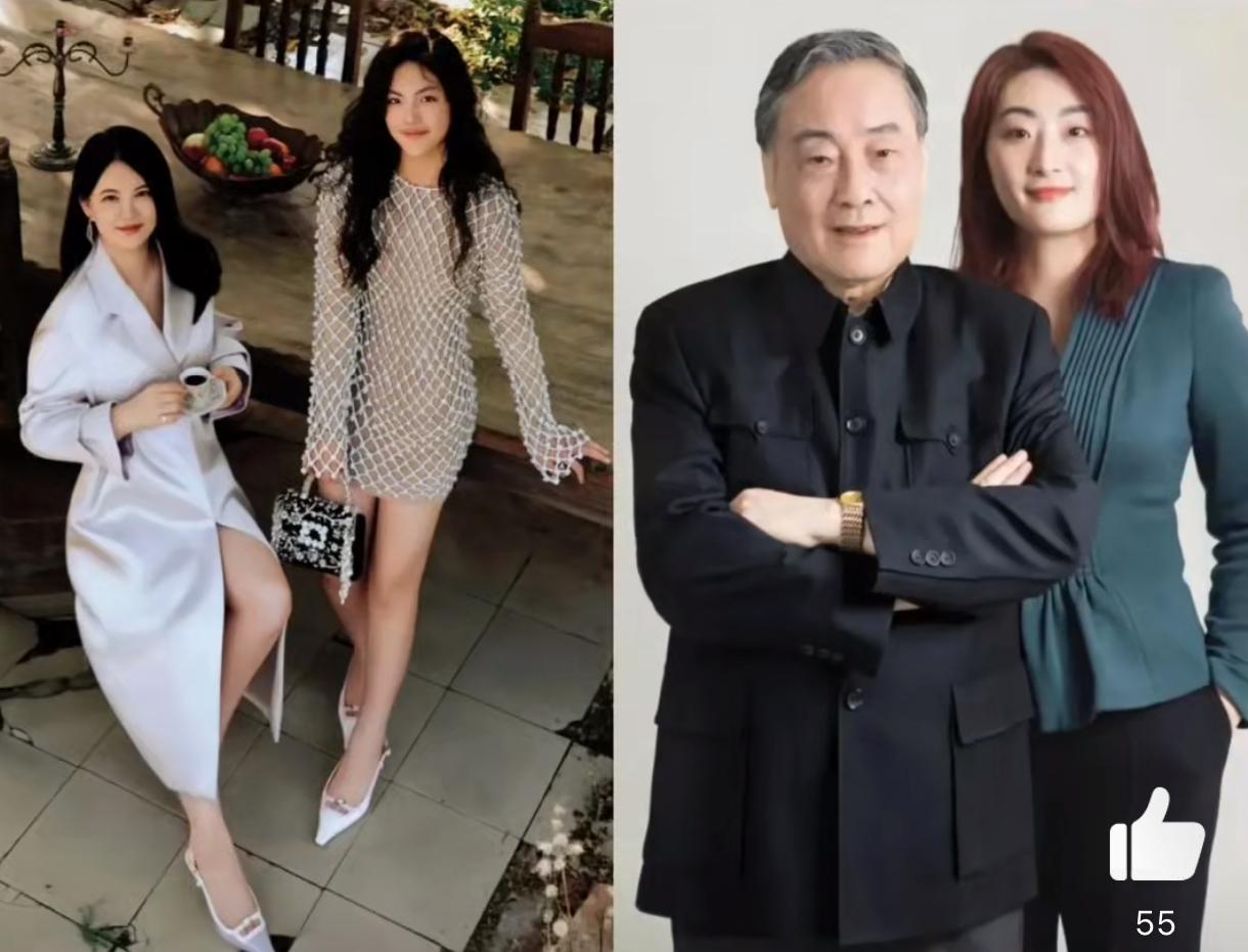 真是没有网友想不到的梗，
爸爸有钱是陆依萍妈妈有钱是王诗龄。
这真没人反驳，
当