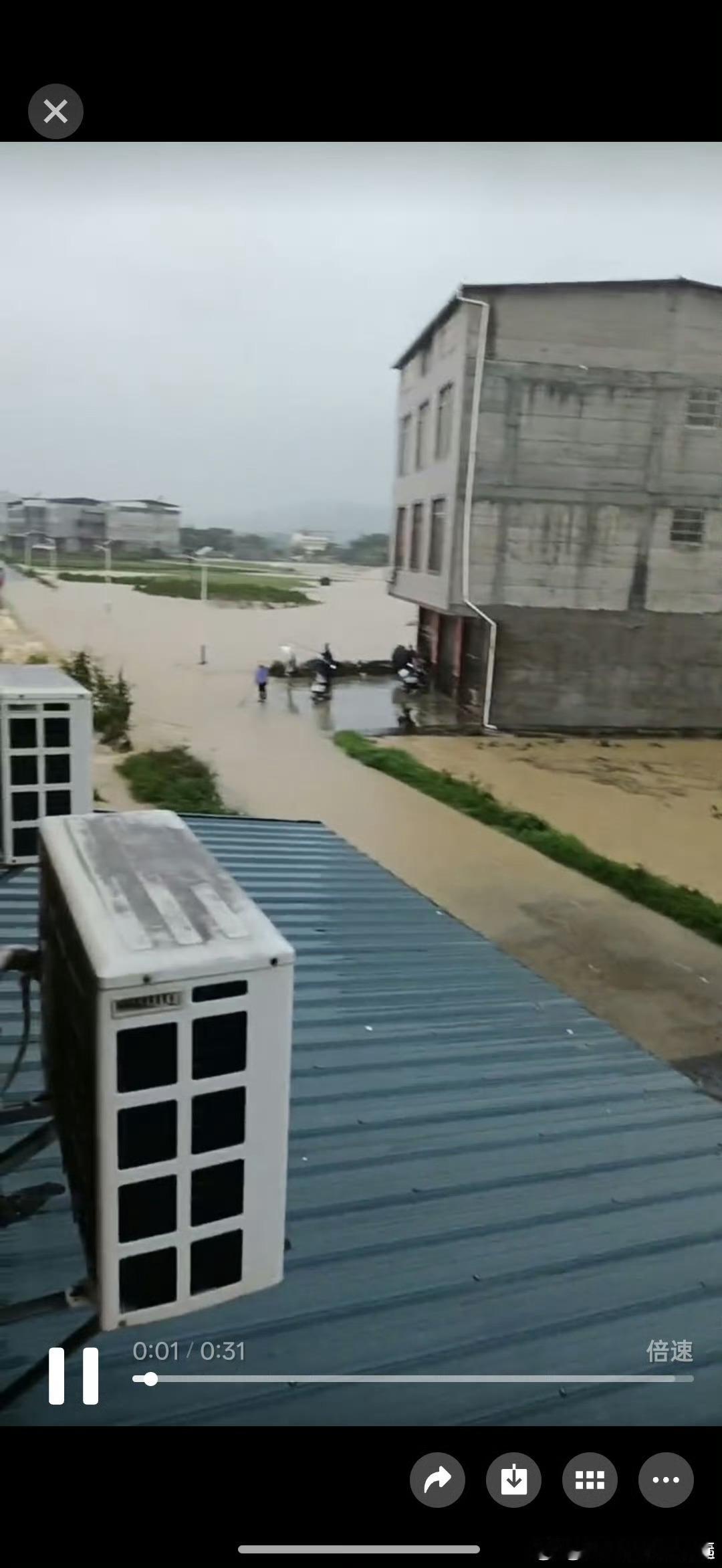 广西内涝台风“美莎克”肆虐，广西南宁横州市云表镇邓圩等地区目前洪水情况极其严重！