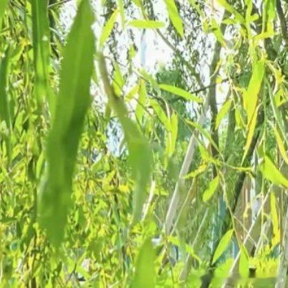 阳光信用 每日一善 在人生的路上，有一条路每一个人非走不可，那就是年轻时候的弯路