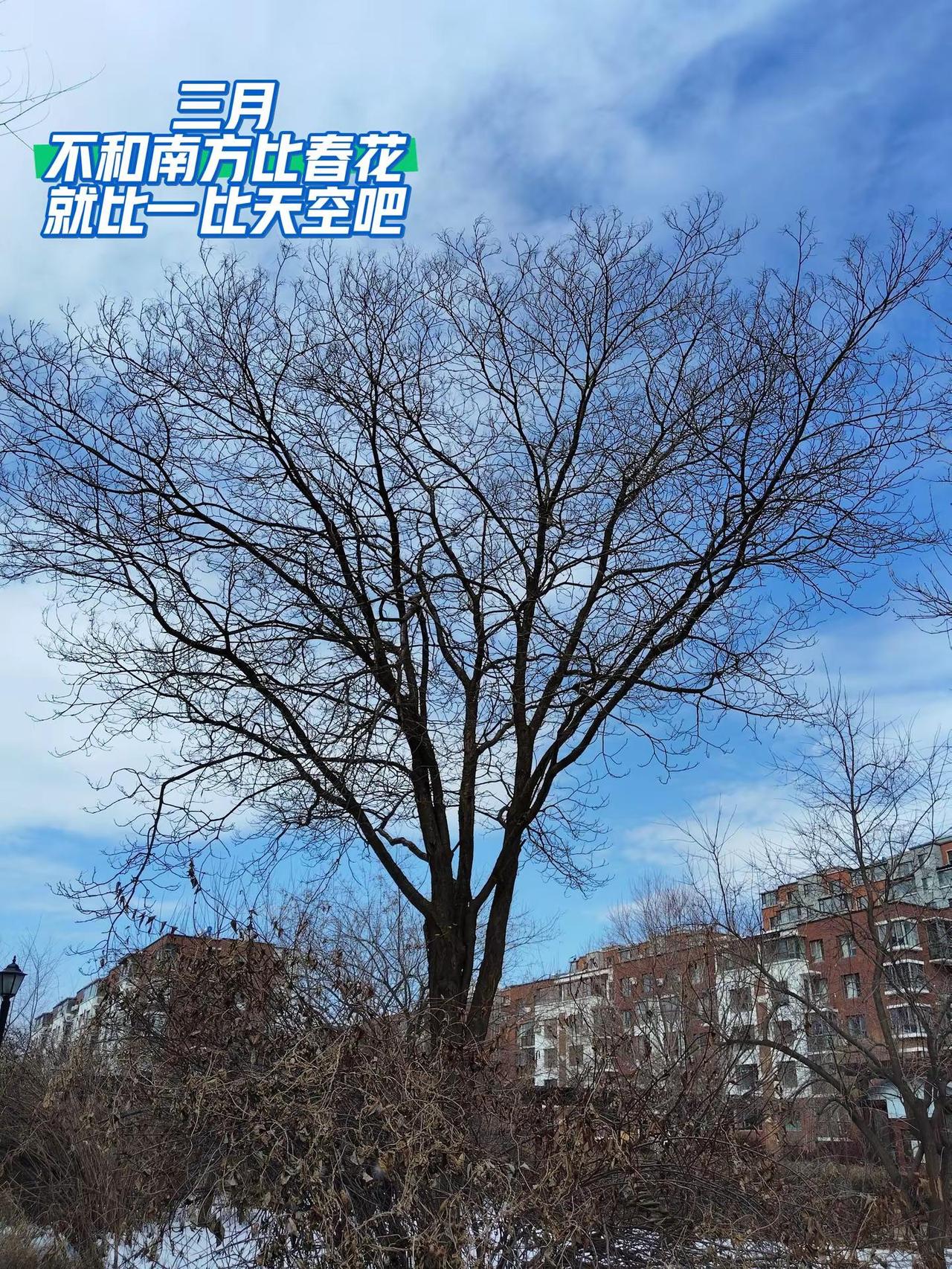 今天的云在是游弋，云朵像被吹散的凝望，到处都是温热的眼波，太阳也是掩着笑意，把残