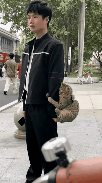 小伙子从单位辞职了 ，他经常投喂的一只流浪狸花猫，好像知道他离开就不会再回来了，