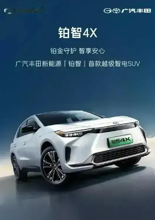 卷又卷不赢，躺又躺不平，摆又摆不烂，恼火哦！这可能是2024年除比亚迪汽车外所有