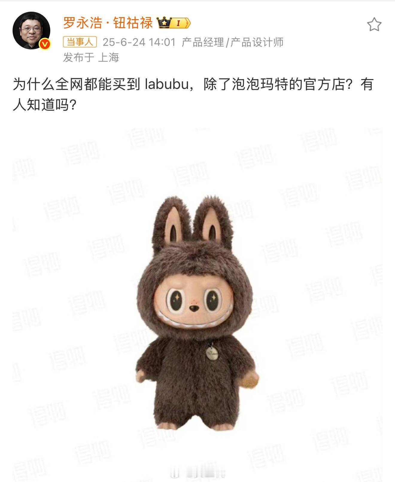 本质上，这波LABUBU爆火和之前的椰子鞋、猫爪杯、纪念币、林娜贝尔、冰墩墩没有