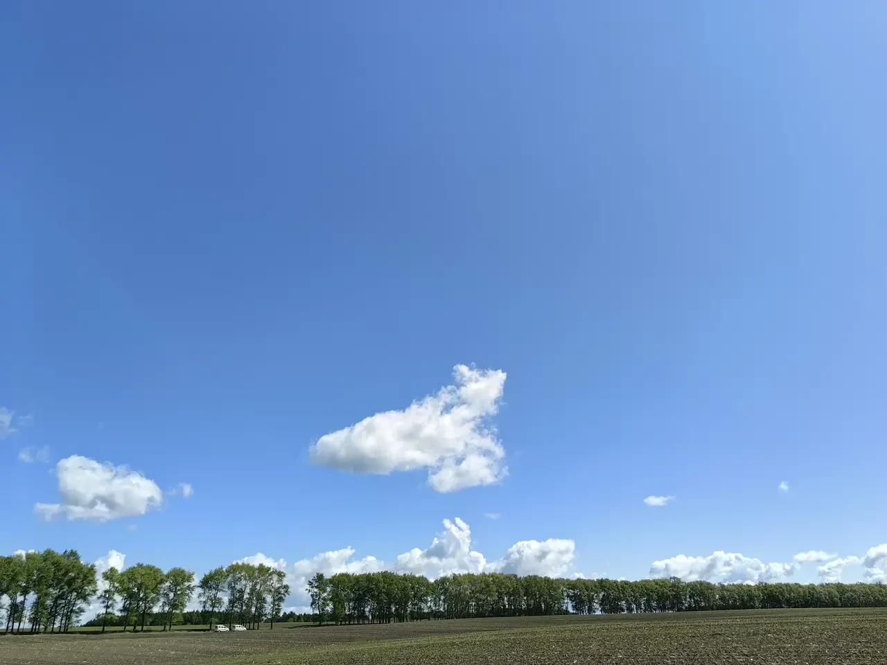 #你愿意调休还是正常休#
本可以正常休息的双休日
变位调休在基层意味着
24小时