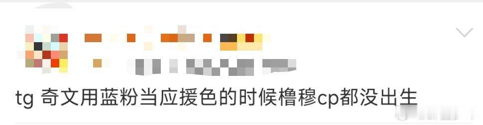 奇文用蓝粉当应援色的时候奇文用蓝粉当应援色的时候橹穆cp都没出生  网友说奇文用