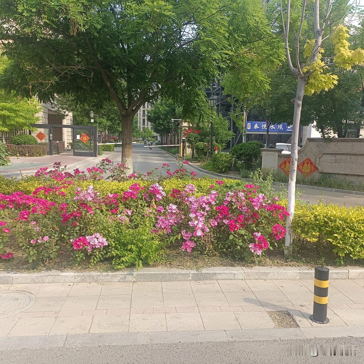 相爱的夫妻,为什么也会出现背叛?很多人想不通，明明曾经深爱、朝夕相伴，怎么就走到