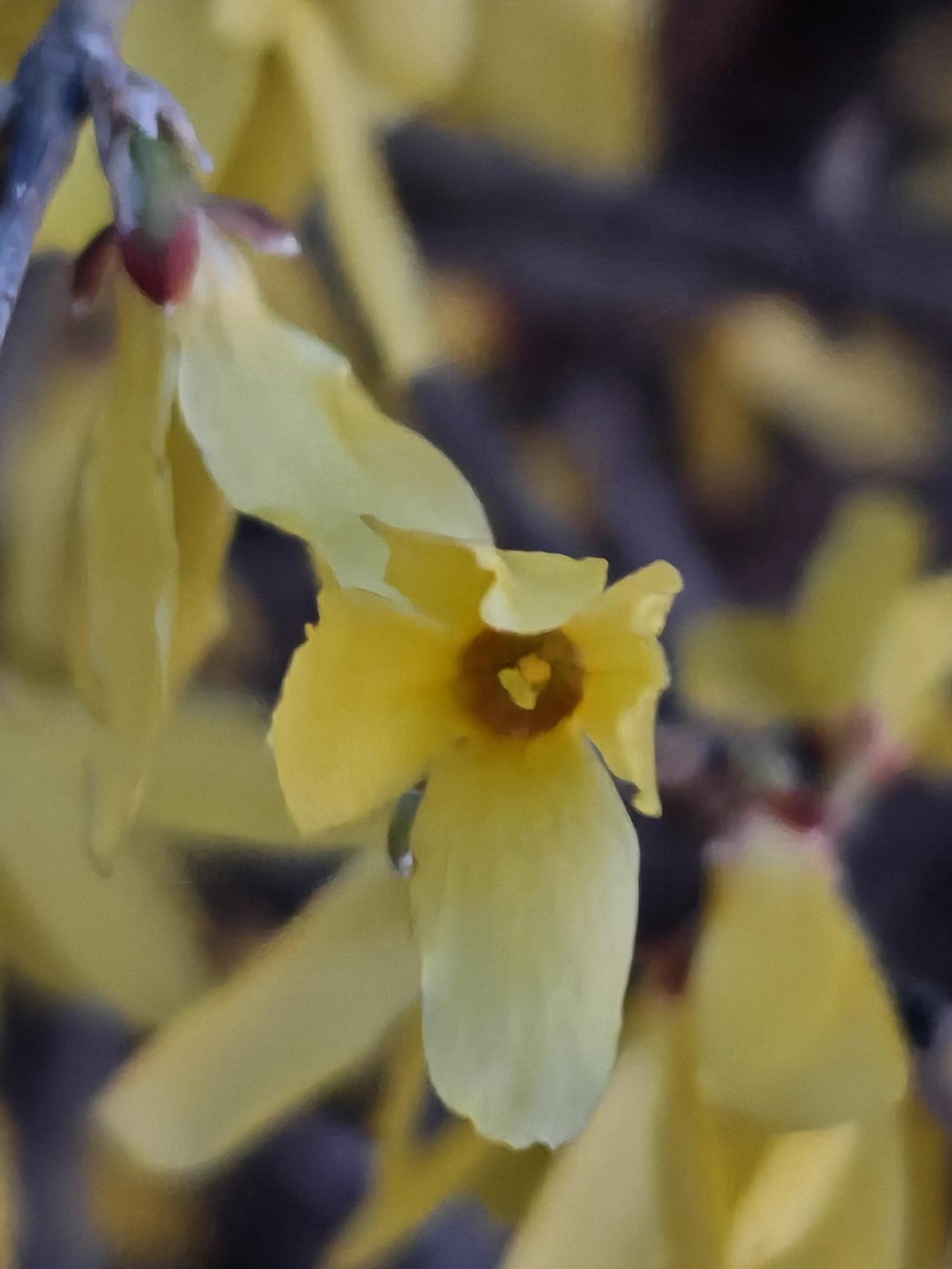 与痛风斗争的历程220
 
   今早醒来，浑身关节都很安稳，没有丝毫不适与痛感