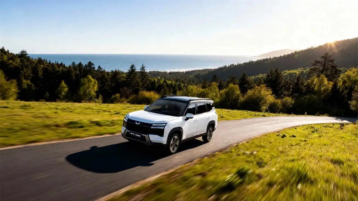 无论您2026年买不买车，您都会感激我。

1、要面子一一买特斯拉，气场十足。