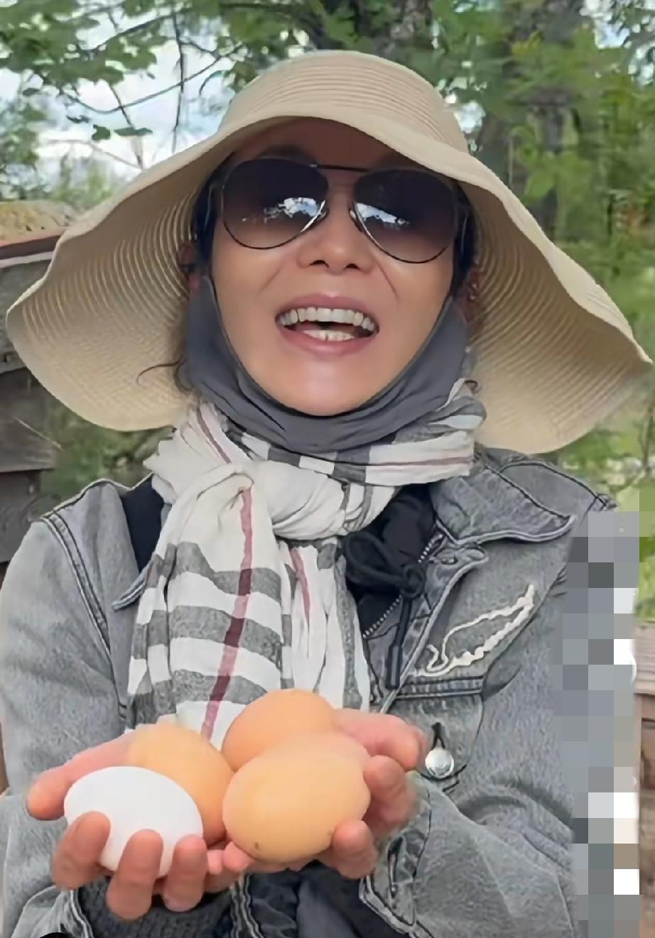 最近张曼玉在法国乡下养鸡的视频在网上火了，61岁的影后钻进鸡窝掏鸡蛋。可仔细琢磨