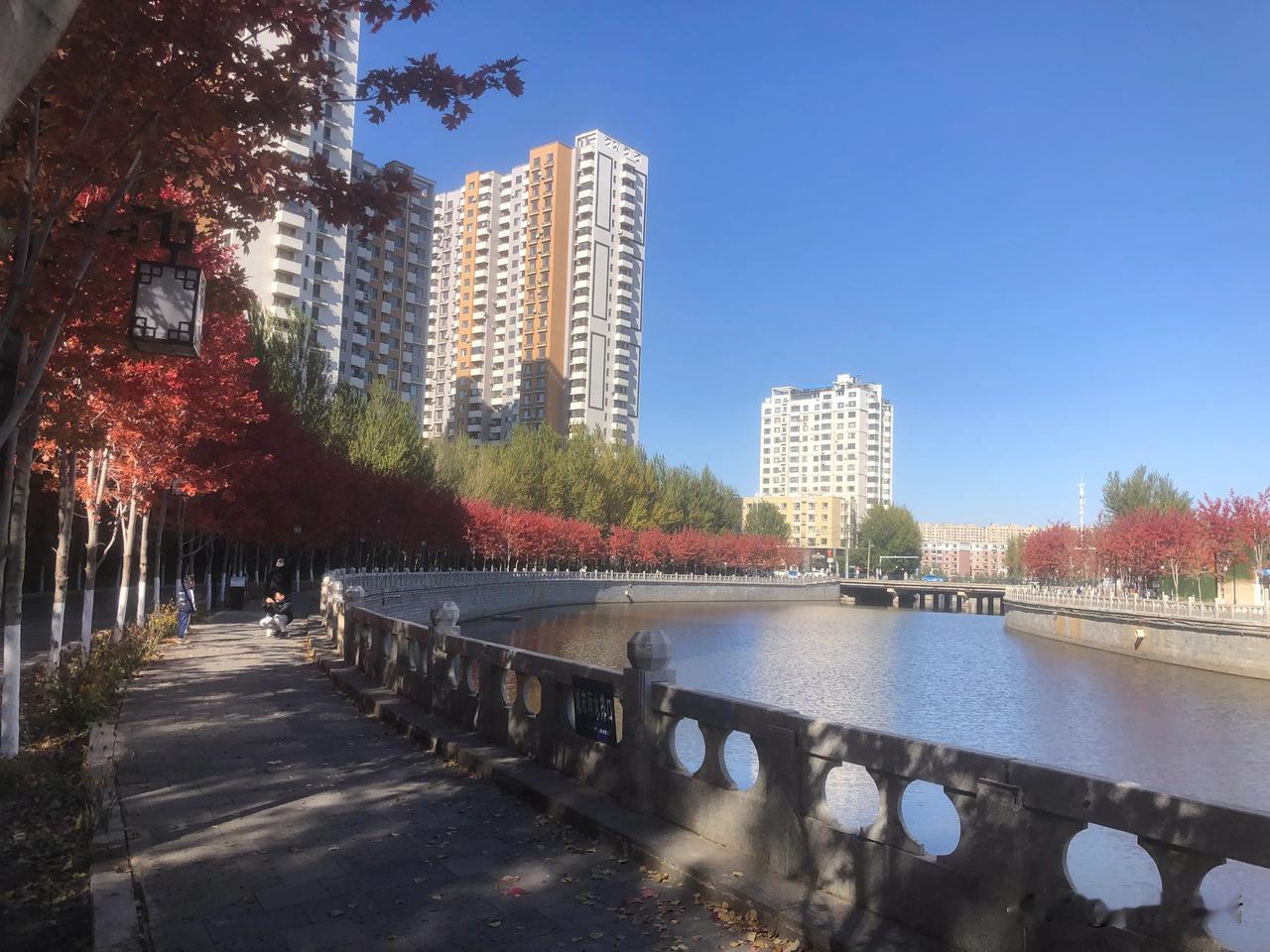 秋日里，一个东北五线城市的一角。

湛蓝的天空下，清爽的秋风里，渐红的秋叶，蜿蜒