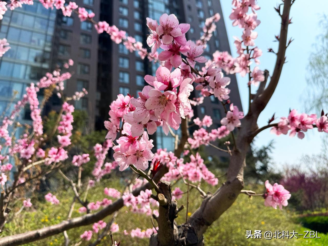 清明假期后，哪只新股最先发行？

截至目前，已拿到批文并完成注册文件更新的企业有