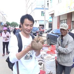 乡村小单哥