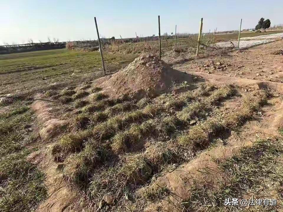 三姐妹上坟被炸身亡后，幸存者直播遭威胁：“下一个炸死你”，警方已立案。

202