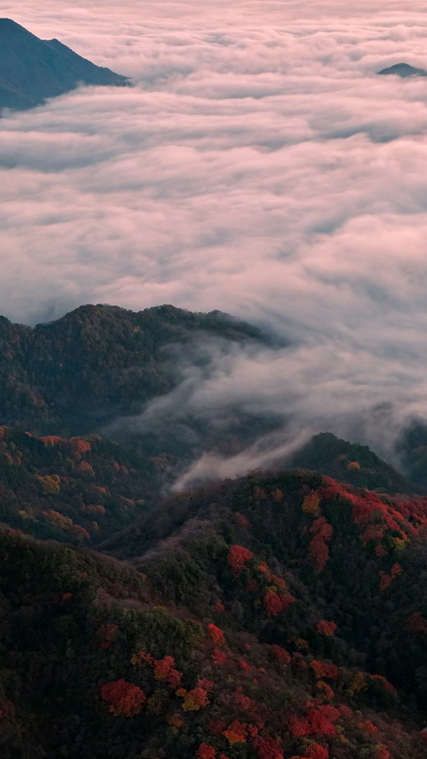 陈坤体验一山四季作为一个热衷徒步、登山及越野跑的户外爱好者，Burberry这个