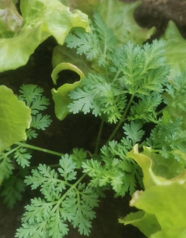 真是庆幸，315那些打假名单，我全部避雷！

我不是靠运气避开这些坑的，而是平时