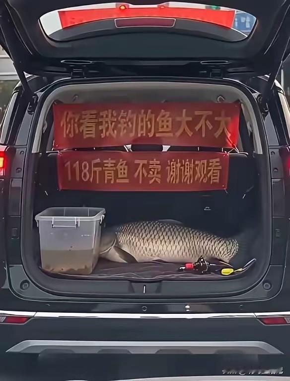 听说喜欢钓鱼的人都不怎么喜欢吃鱼，大哥鱼不卖太可惜了吧