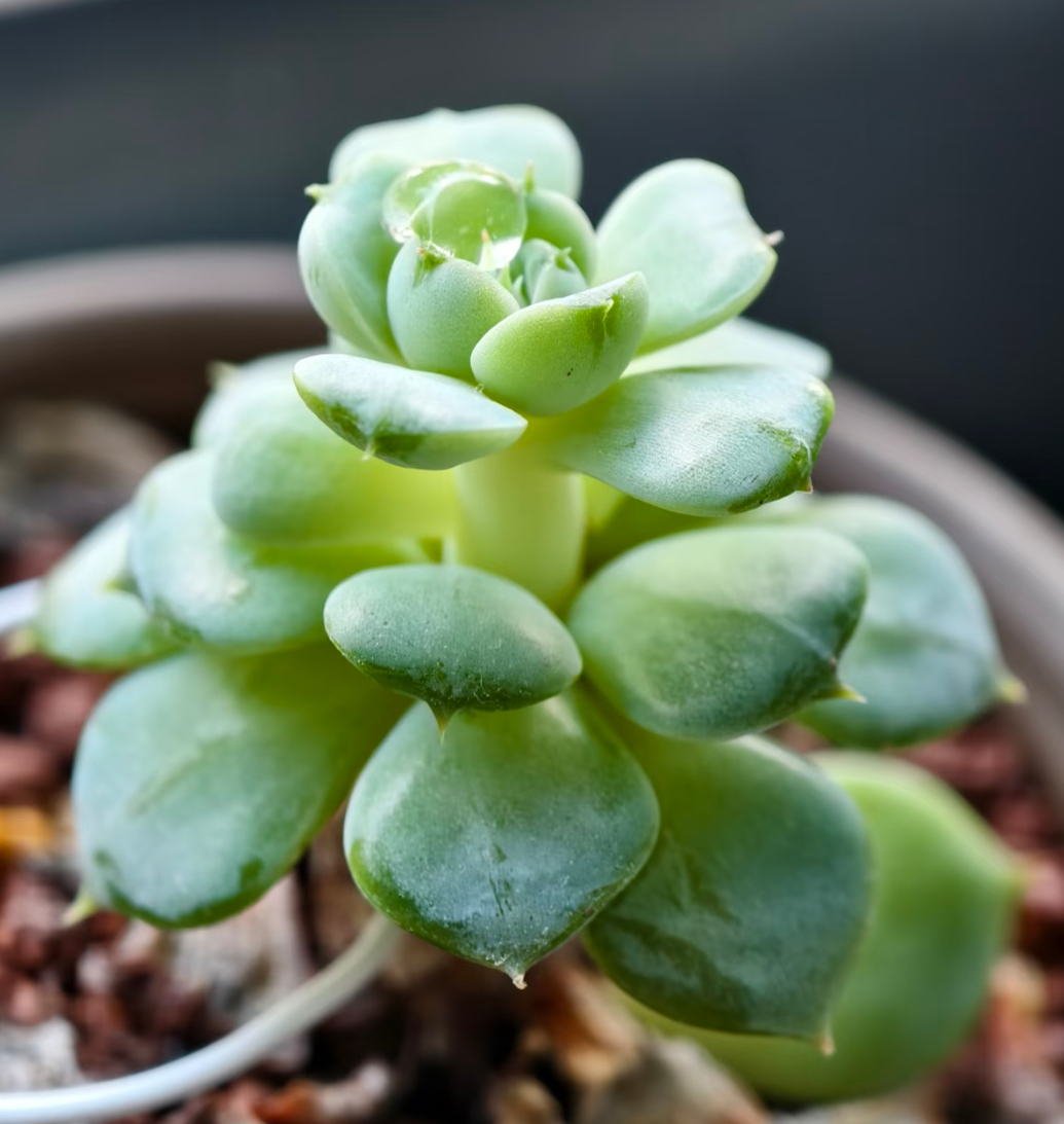 何为真正认清生活的真相一个人彻底认清生活真相的核心特质，从不是变得冷漠麻木，而是