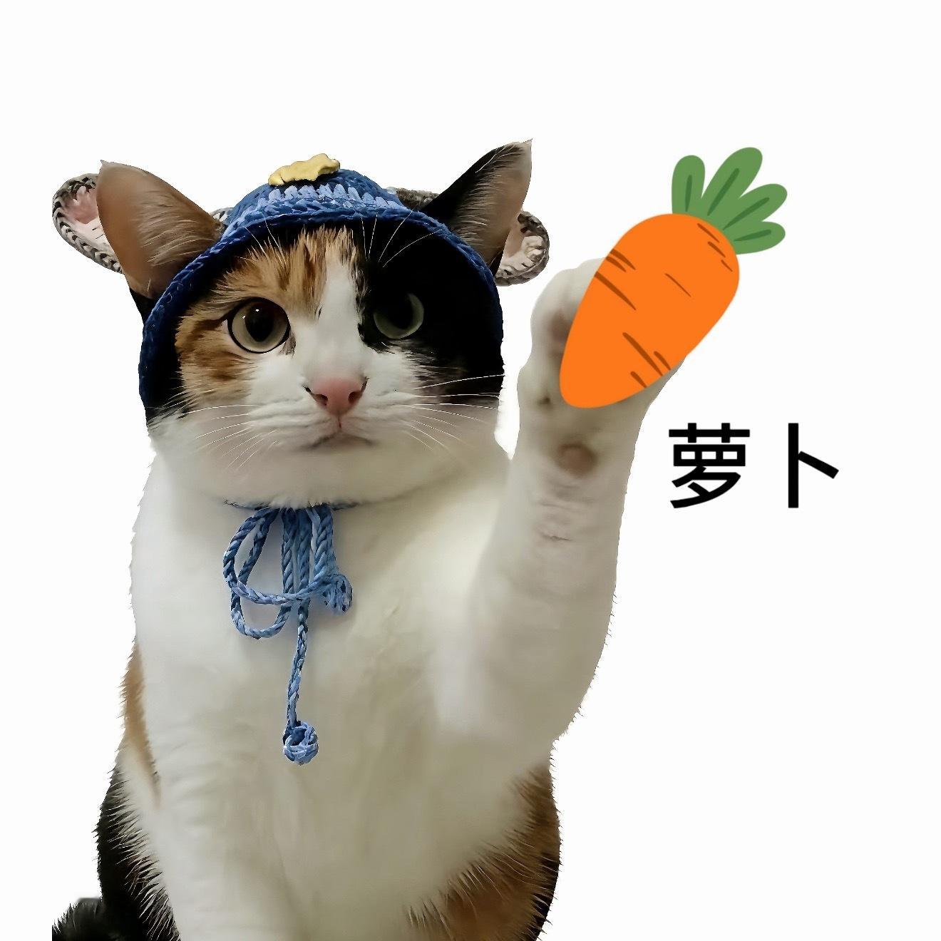 第一次这么直观感受萝卜岗，只要关系到位了，即使不缺人也能为你单开一个岗位事他可能