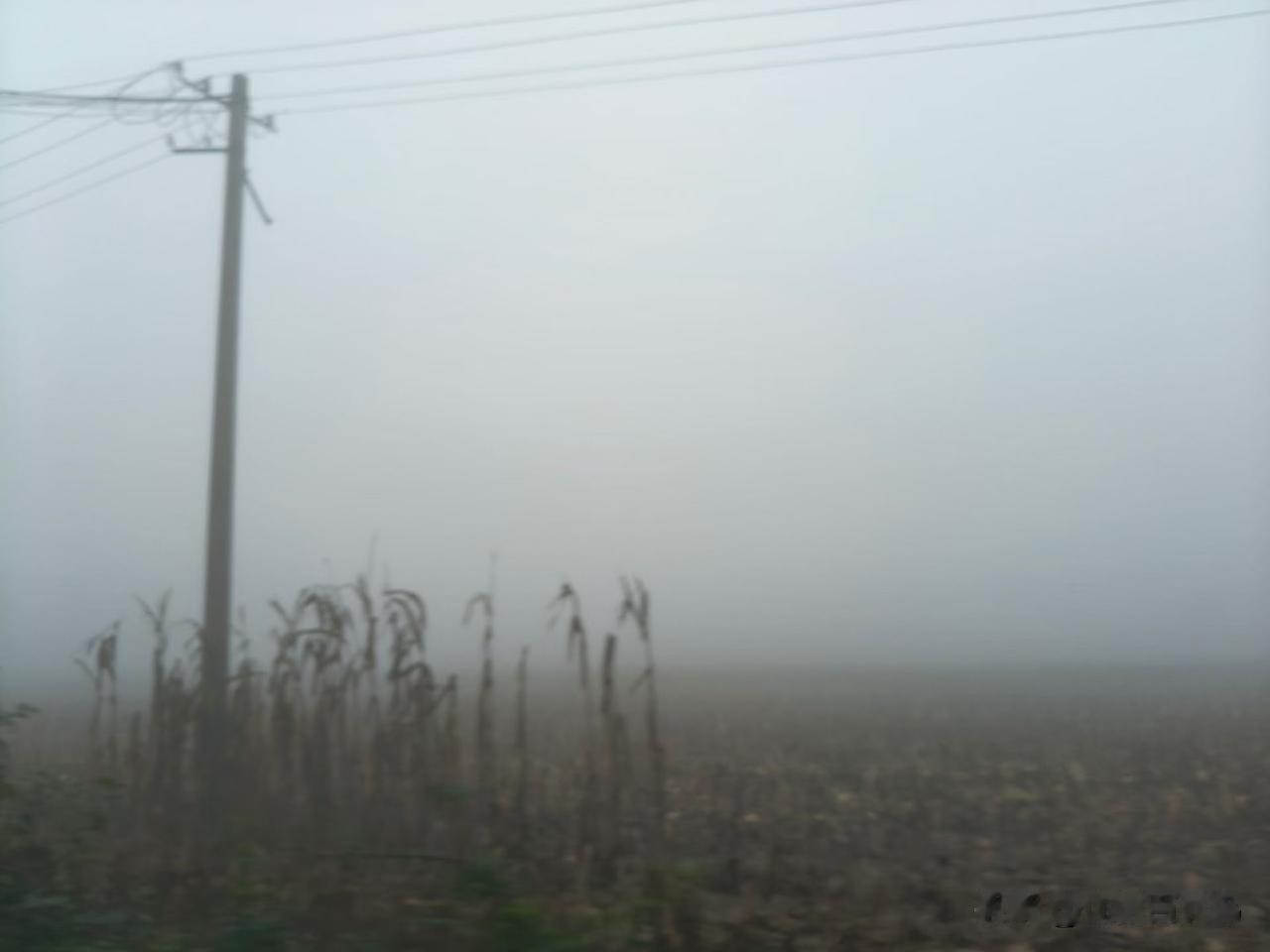 电线杆子伸着胳膊把五线谱划拉到雾里，可惜没鸟儿来唱歌。邻居大爷说：“别嫌雾耽误事