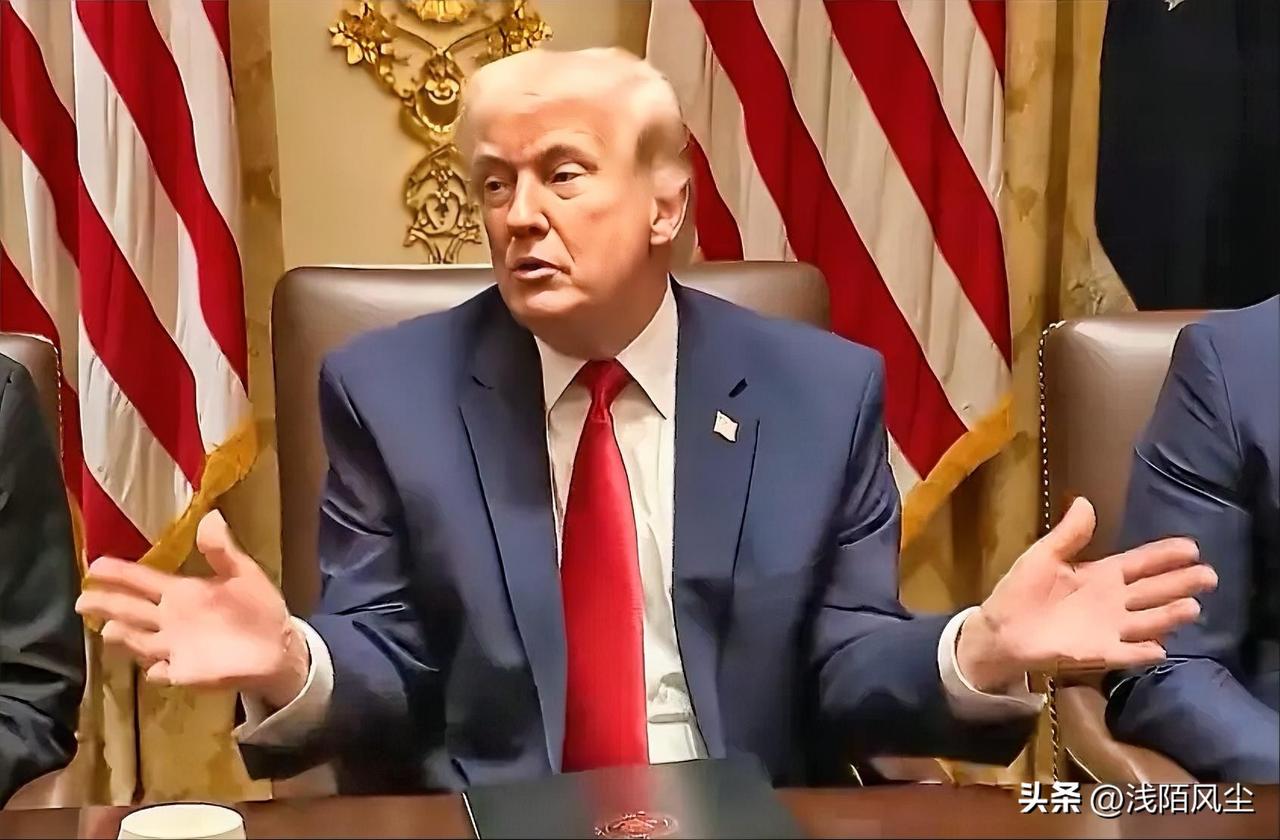 特朗普对北约耿耿于怀:“我当时是在试探。我说: 我非常欢迎你们过来。带上你们的船