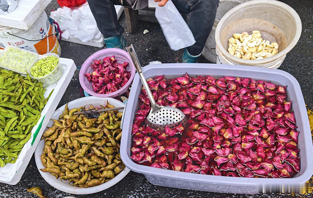 （原创）菱宴
秋，是收获季节；秋，乃花香果实。
江南入秋，桂香初起之时，河塘之间