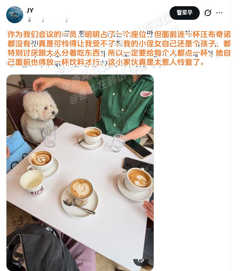跟小狗一起在咖啡店开早会 海外新鲜事 热点现场