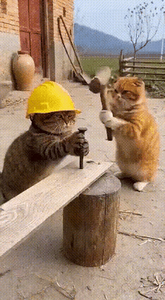 全疯了？
看看多么逼真，这报复行为咋样，心里话：你个老六，今儿可让老娘逮着机会了