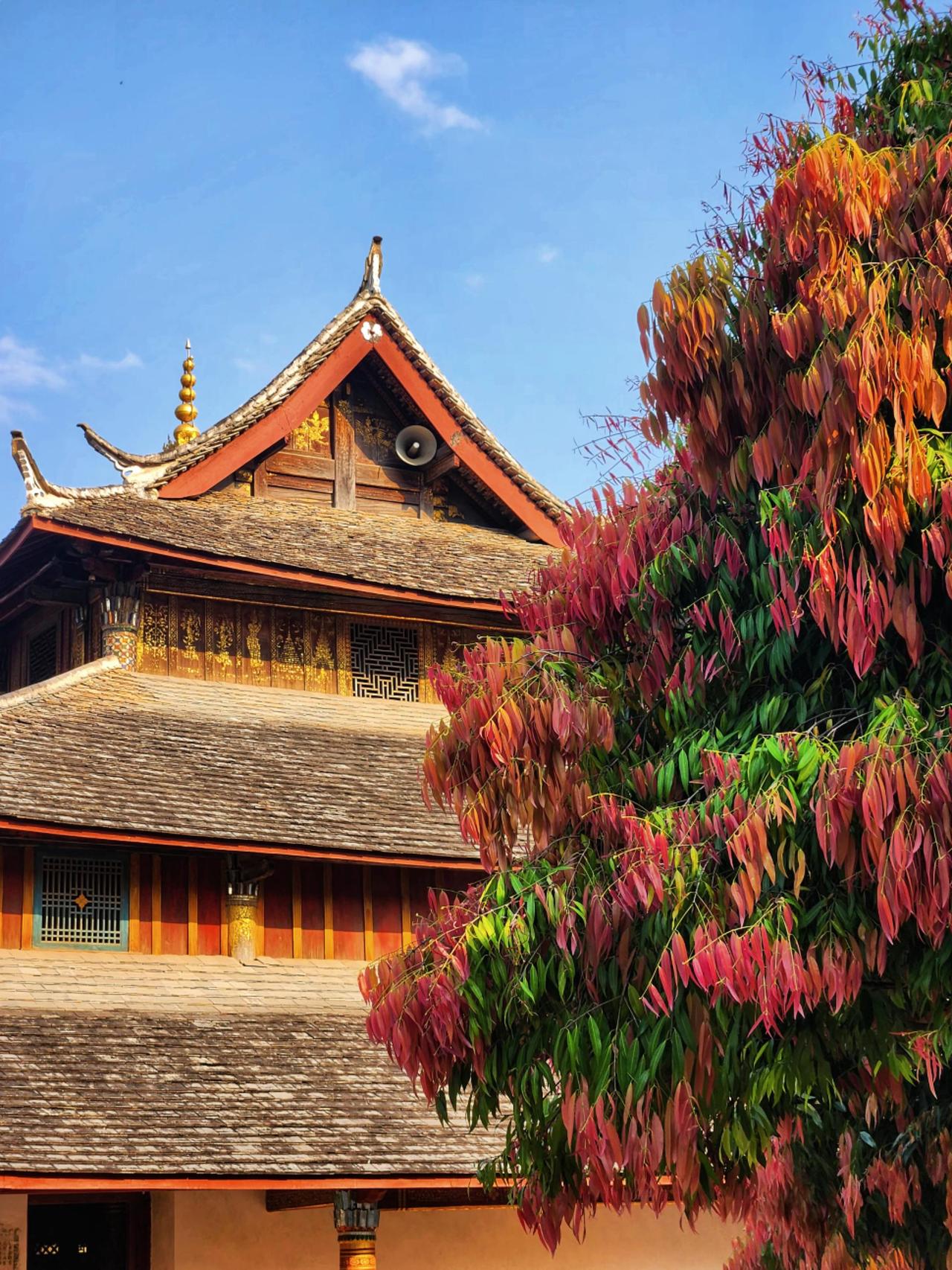 看看我镜头下的建筑美学愿众生平安吉祥 古建筑之美 人间烟火最抚人心