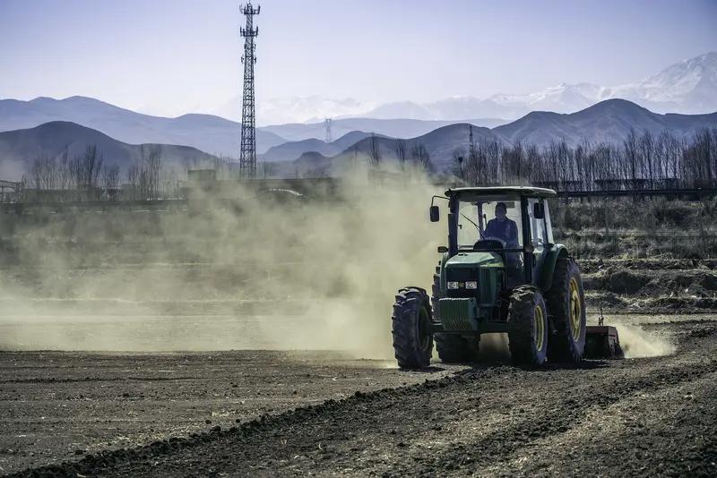 读到洒脱咖啡0Zz的《早春3》这首诗，我的脑海中刹那间浮现出一幅田园春耕的画面。
