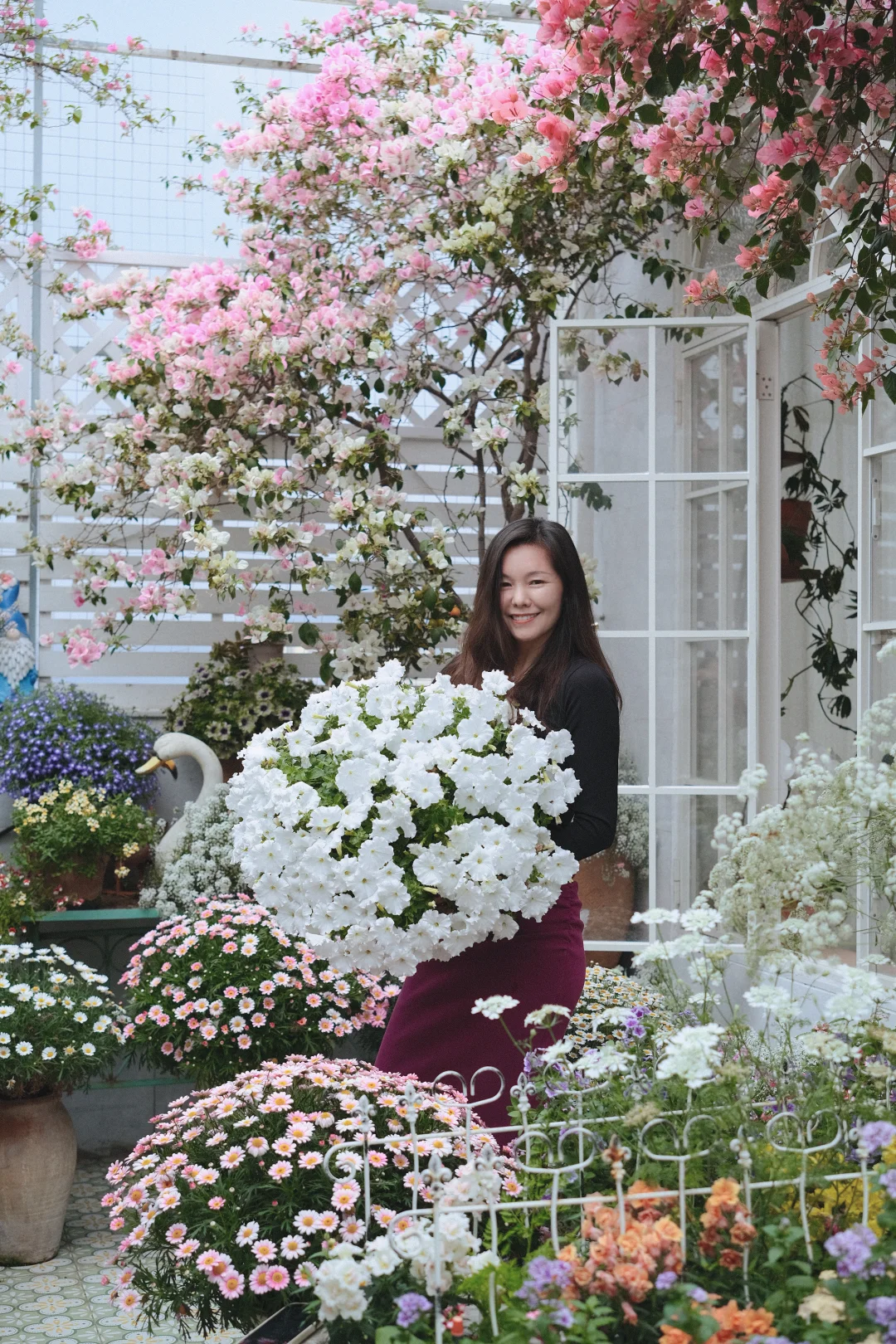 ❤️春会来，事会顺，人会好，花会开❤️