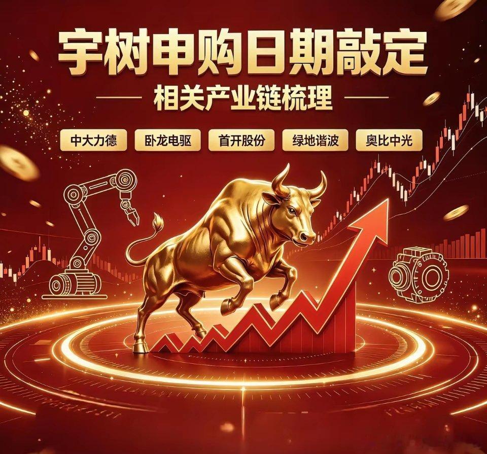 宇树科技8月10日正式申购相关产业链梳理1. 大皇子：中大力德（中大LD）间接持