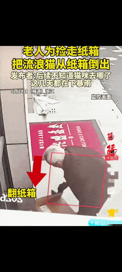 吵翻了！浙江一老人路过一店门口时，看见有一个大纸箱就想去捡，没想到的是，纸箱内住