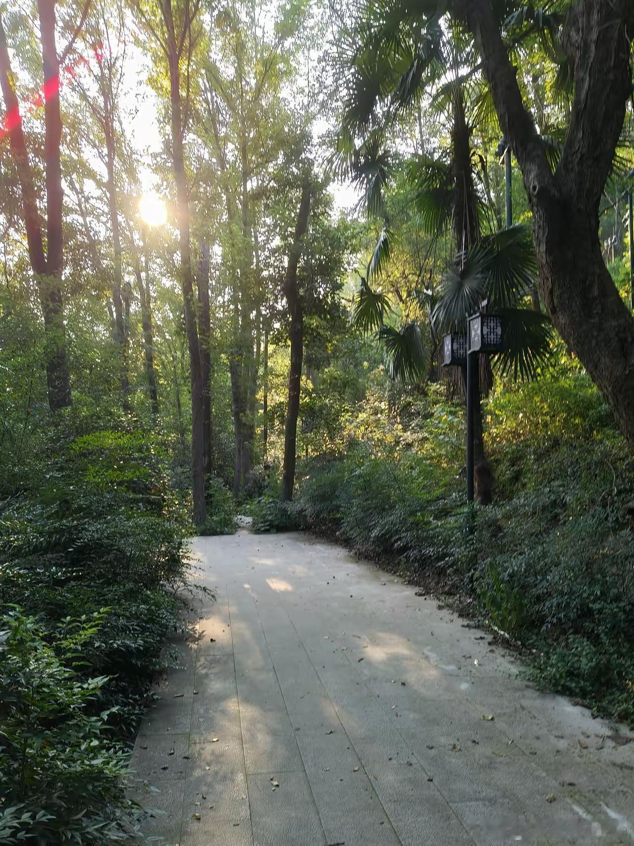 我疯了？昨天直接停掉了女儿所有课外班！英语、钢琴、舞蹈一个没留，谁劝都没用。
 