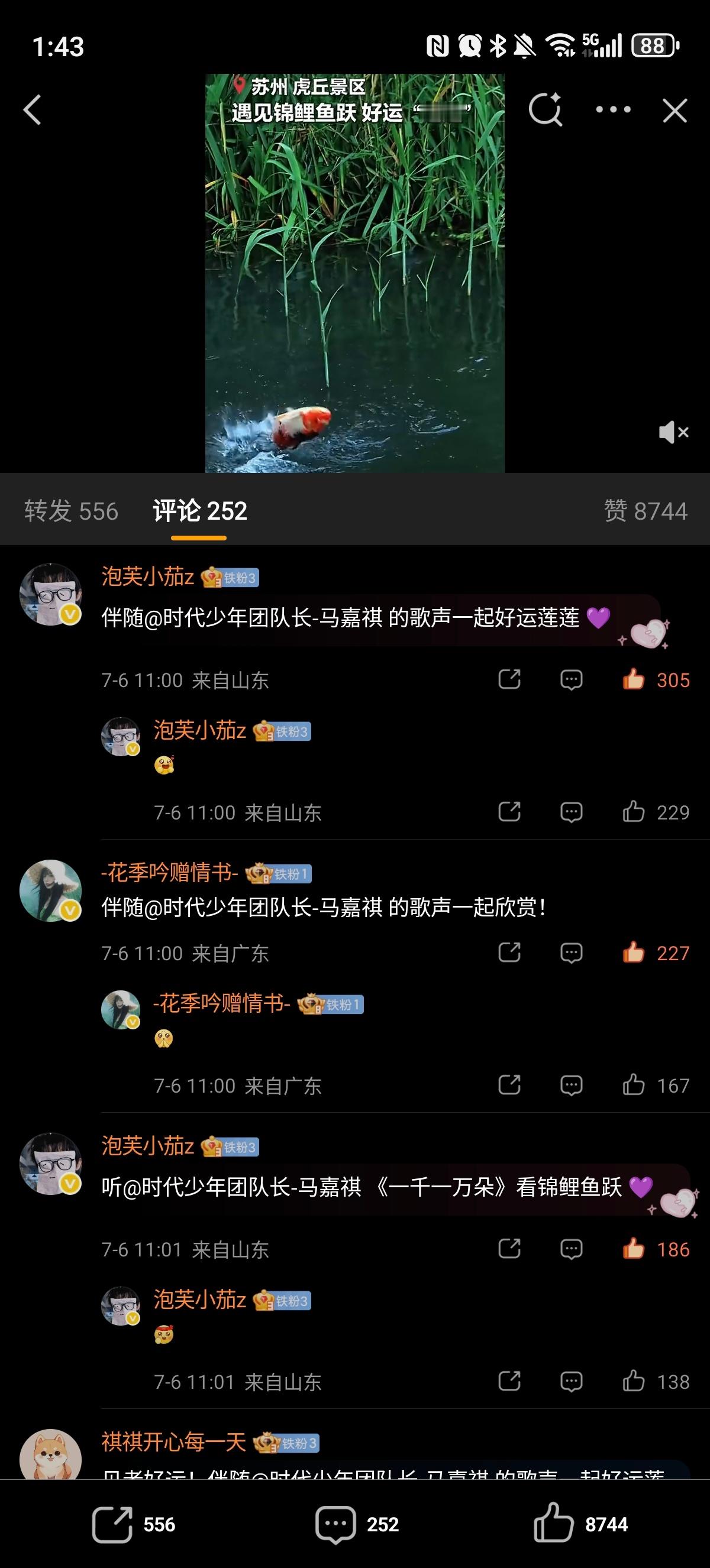 ✔️🈳网页链接  专栏 · 🈳评组