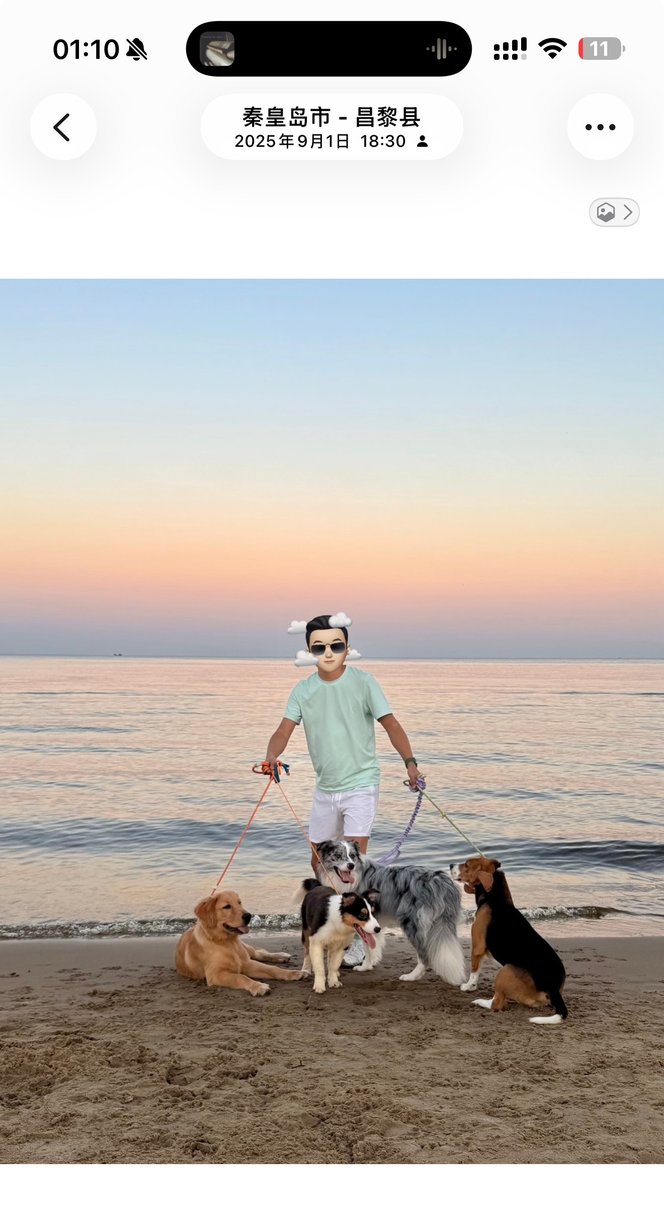 “出发时刻号角响，成群猎犬已整装，晨光初照齐上马，骏马奔跳欲脱缰。”      