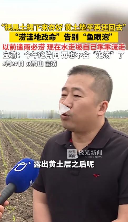 太解气了！黑龙江宝清一段农田视频看愣了不少人：同样是这片地，往年一到夏天就犯愁，