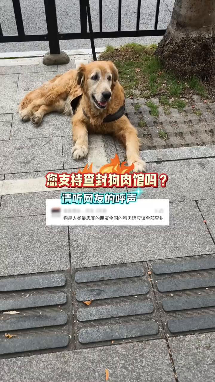 您支持查封狗肉馆吗？请听网友的呼声。
狗是人类最忠实的朋友，全国的狗肉馆应该全部