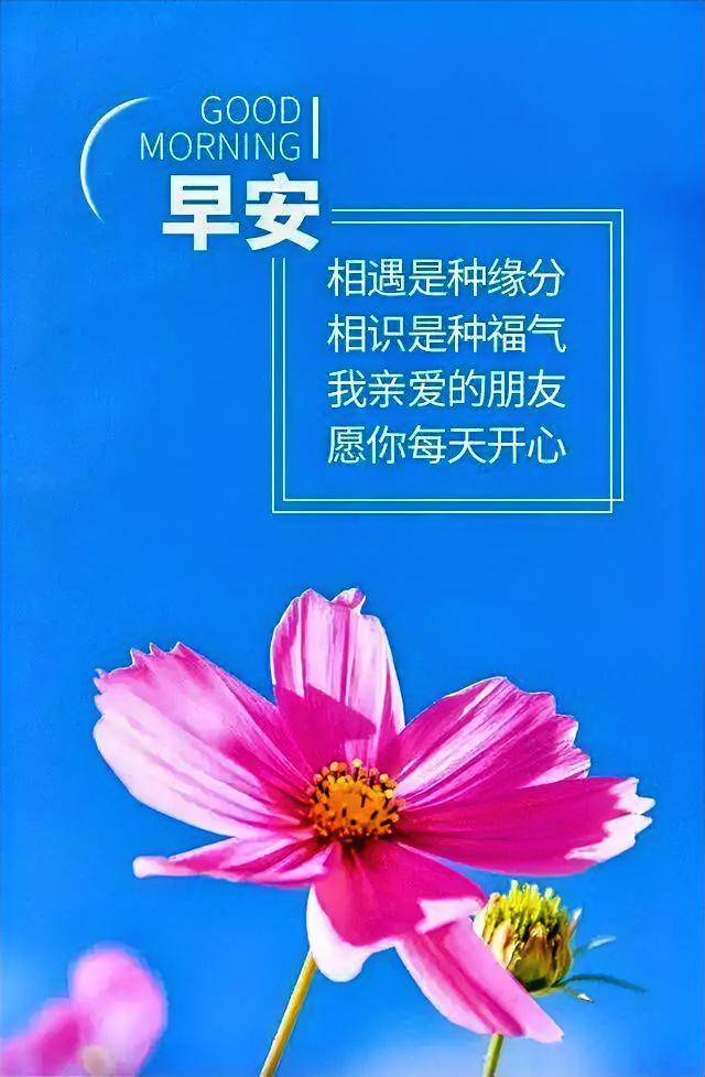 早安！粉花向阳开，愿你如这朵花般明媚，每天都有好心情，遇见便是福气。
分享早安吉