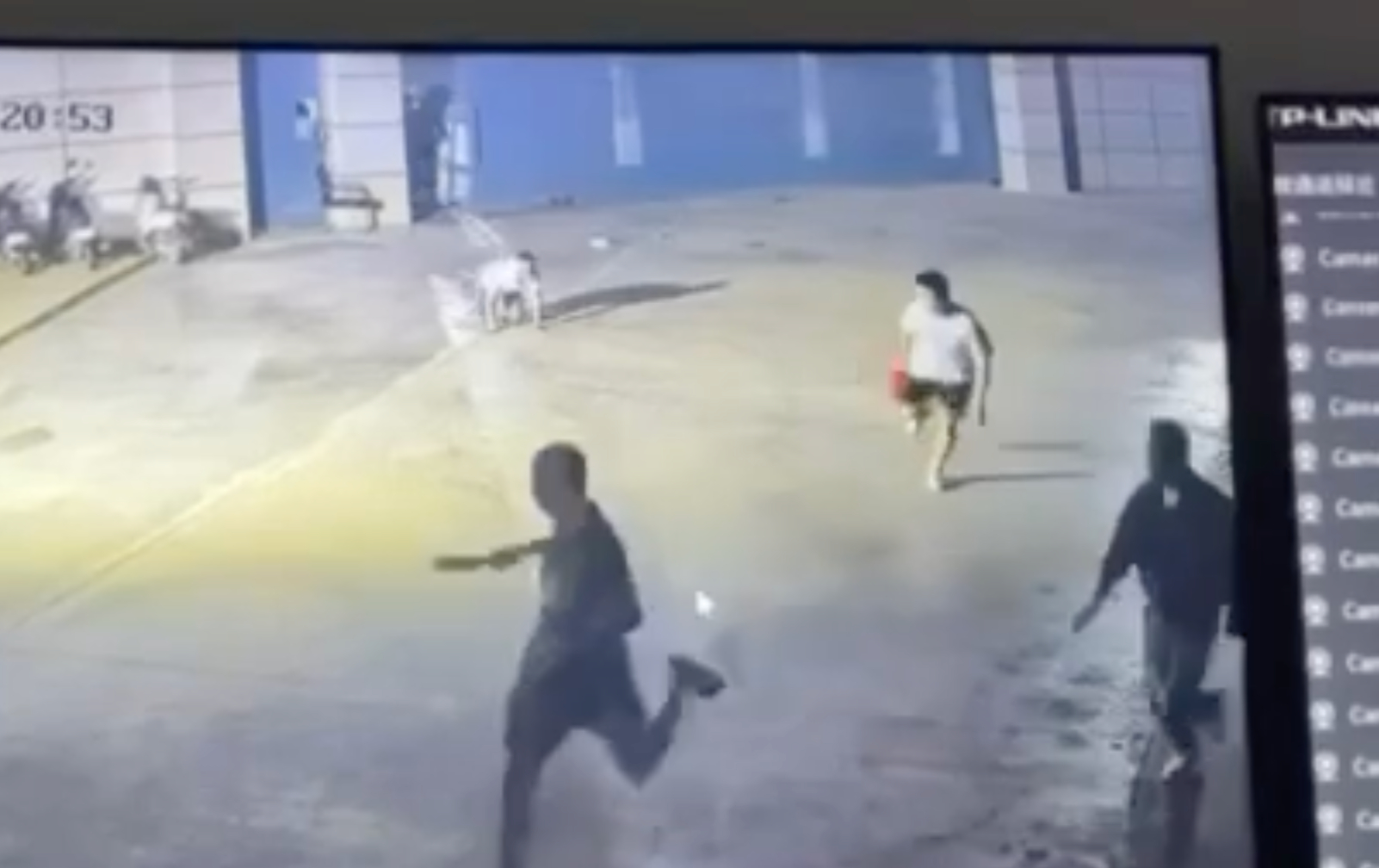 太子集团金运园区一中国籍主管和14名柬籍保安围殴4名中国人，致1死3重伤，均获刑