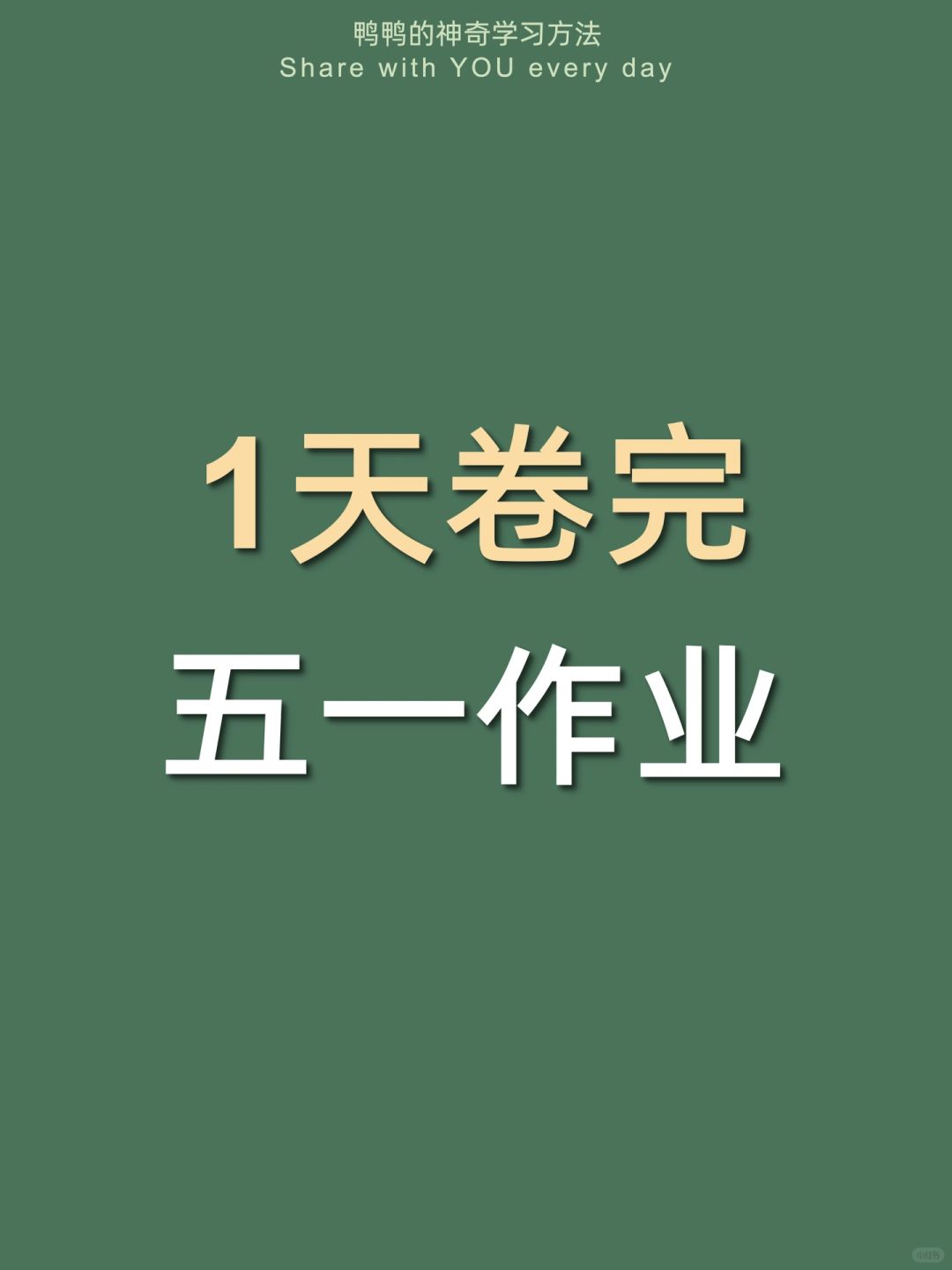 🔥1天炫完五一作业㊙️这样写作业太太太快了